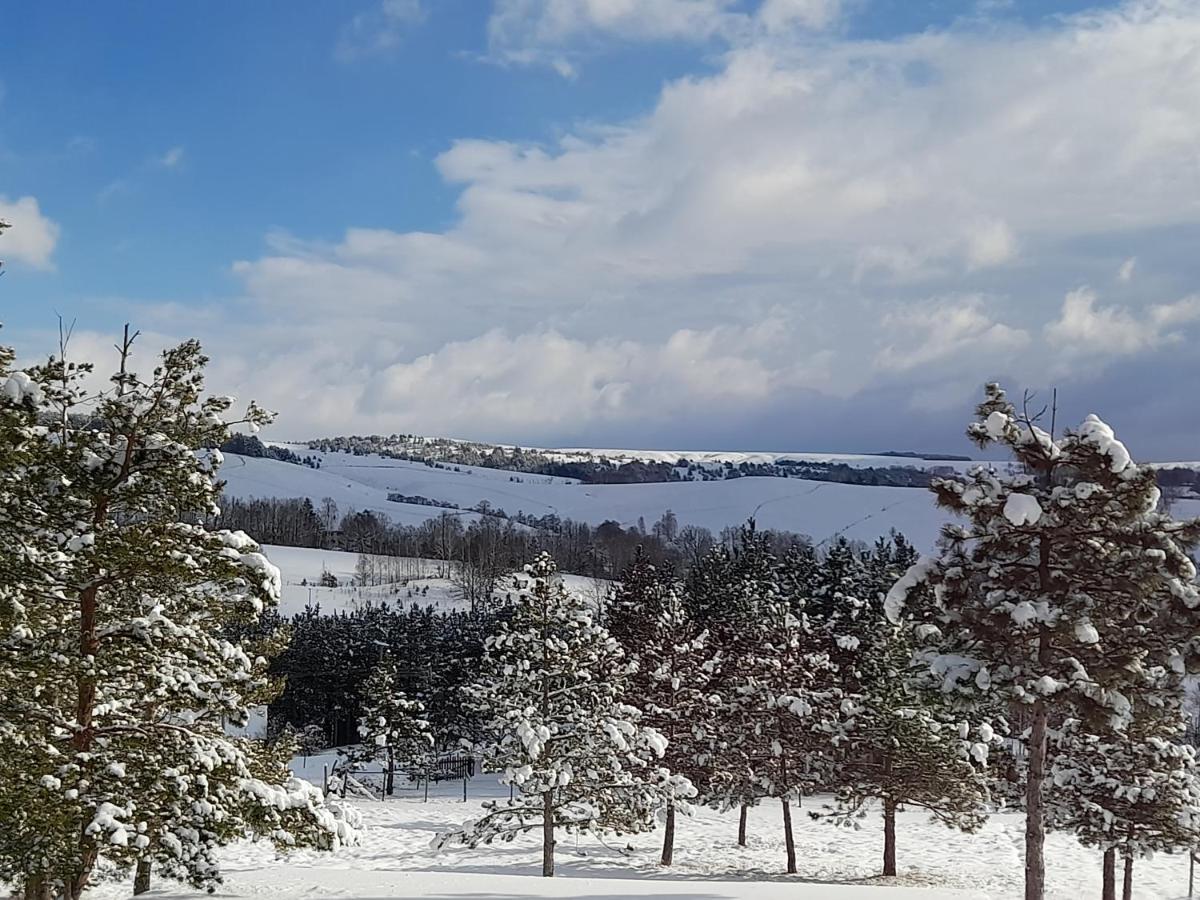 Divčibare Ruza Vetrova 빌라 외부 사진